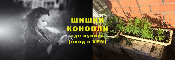 дживик Переславль-Залесский