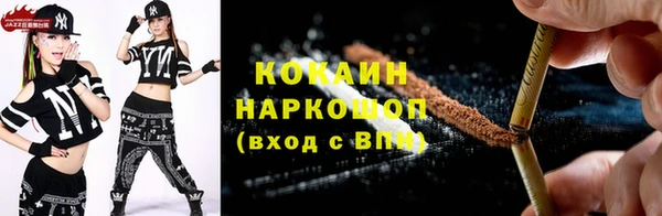дживик Переславль-Залесский