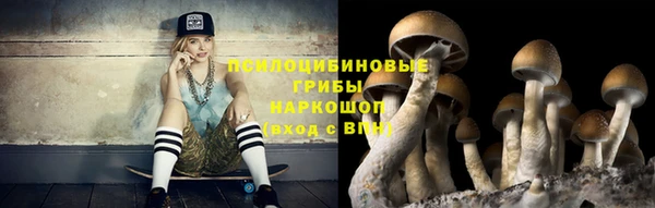 твердый Пересвет