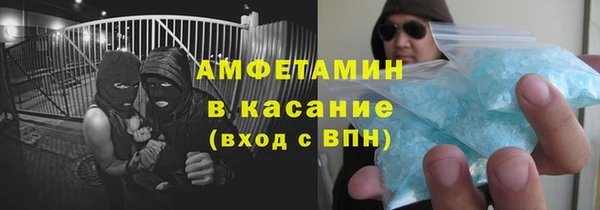 твердый Пересвет