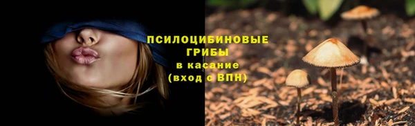 стаф Пестово