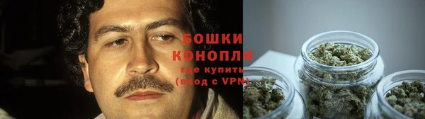 дживик Переславль-Залесский