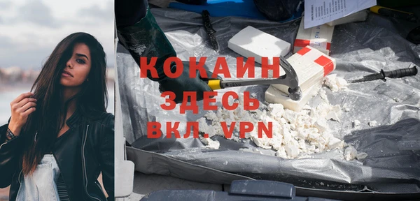 твердый Пересвет