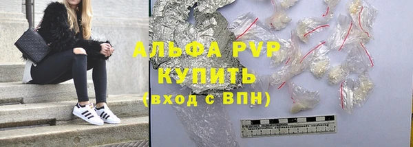 твердый Пересвет