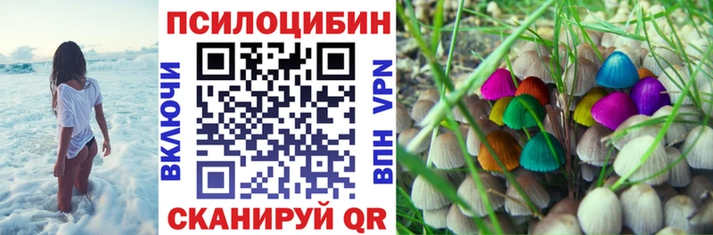 Галлюциногенные грибы прущие грибы Котельниково